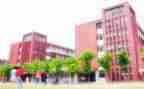 个人在学校的年度总结模板7篇