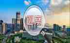 2024年巡察组长述职述廉报告5篇