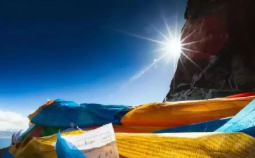 寻找阳光作文8篇