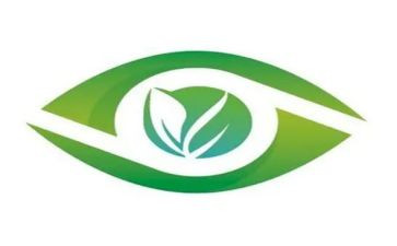 眼中的母爱作文8篇