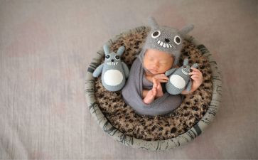 幼儿园小班蚕宝宝教案7篇