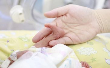 蛋宝宝幼儿教案8篇