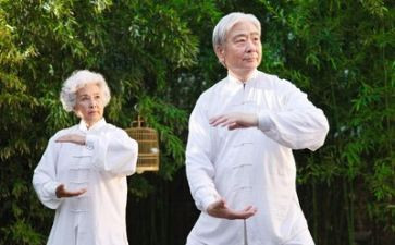 养老股个人年终总结5篇