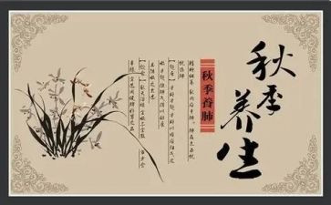 养生卡活动方案5篇