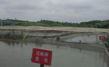 养殖场的租赁合同推荐5篇