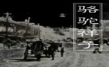 那样子作文8篇