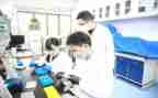 小学研究课教学计划5篇