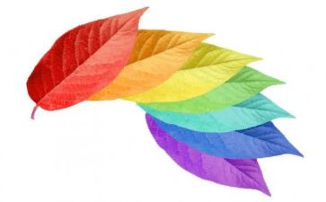 有趣的颜色的教案7篇