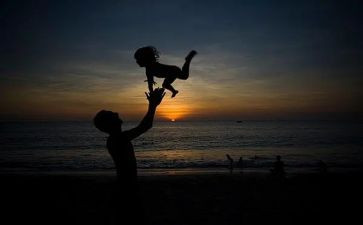 拾树叶教案参考6篇