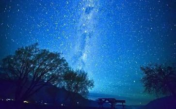 拾树叶教案推荐5篇