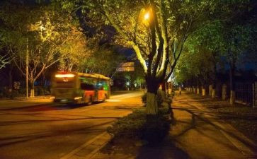 美丽的夏夜作文最新6篇