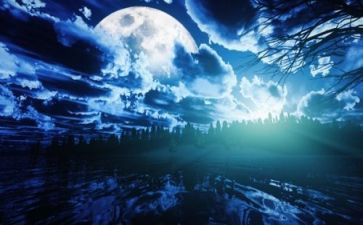 独立夜活动方案7篇