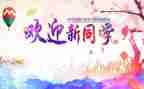 迎新年活动总结8篇