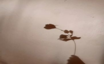 科学奇妙的影子教案5篇
