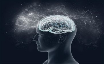 环保意识的作文7篇