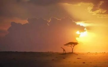 永恒的光作文优秀8篇