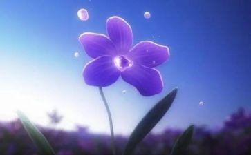 永恒的光作文7篇