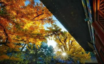 永恒的作文推荐5篇