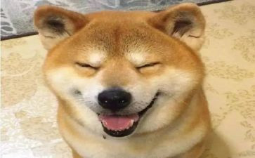 有趣的事作文300字5篇