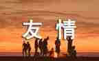 友谊篮球总结活动总结7篇