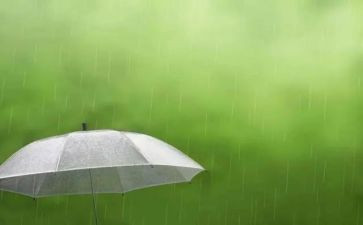 春雨的作文600字推荐7篇