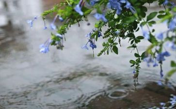 春雨的作文600字精选8篇