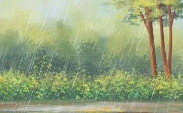 雨给我带来快乐作文5篇