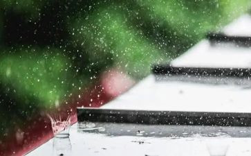 雨水作文通用6篇