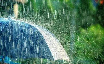 写暴雨的作文模板5篇