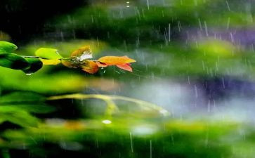音乐雨滴教案6篇