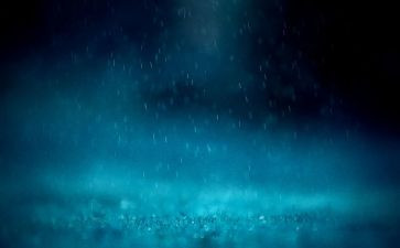 小花和雨教案5篇