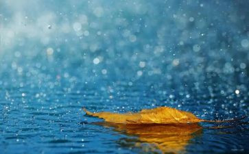 国庆的雨作文7篇