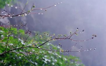 我爱春天的雨作文600字6篇