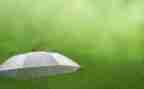 春雨的作文600字推荐7篇