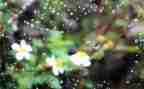 《雷雨》读后感1000字6篇