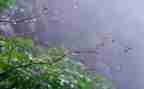 我爱春天的雨作文600字6篇