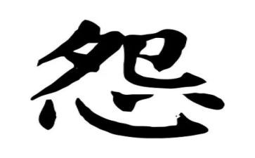 无怨的青春读后感7篇