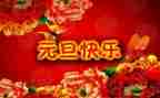 中班庆元旦活动方案5篇