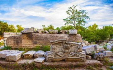 圆明园圆明园的毁灭读后感优质8篇