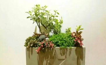 园艺工年终总结6篇