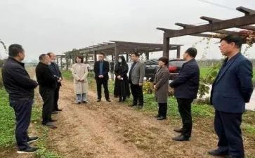 园艺站个人工作总结5篇