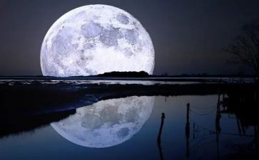 读月亮走读后感最新7篇