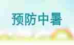 珍爱生命,预防溺水活动方案7篇
