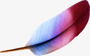 羽毛球社的心得体会最新7篇