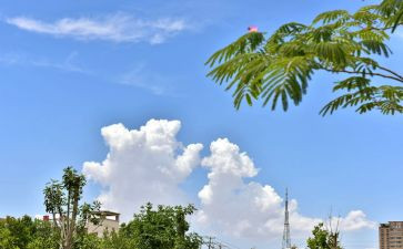 云教培训总结推荐7篇