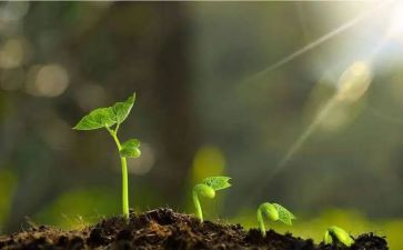 关于育人的作文范文5篇