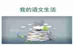 语文老师的个人总结优秀7篇
