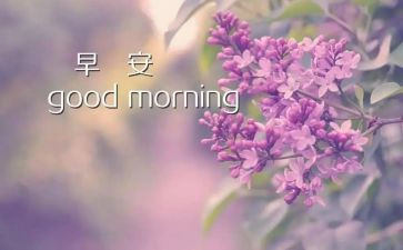 早晨的公园的作文8篇