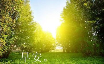 早教年终总结6篇