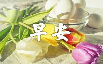 关于早餐的调查报告5篇